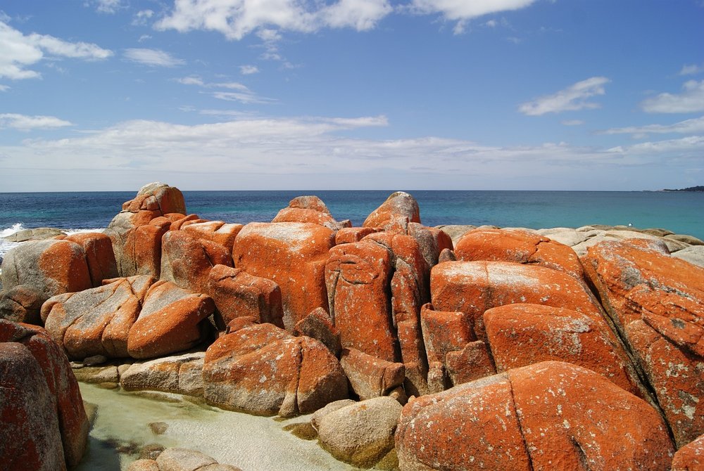 tasmania road trip bay of fires