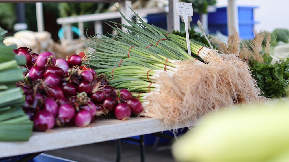 tasmania road trip Launceston