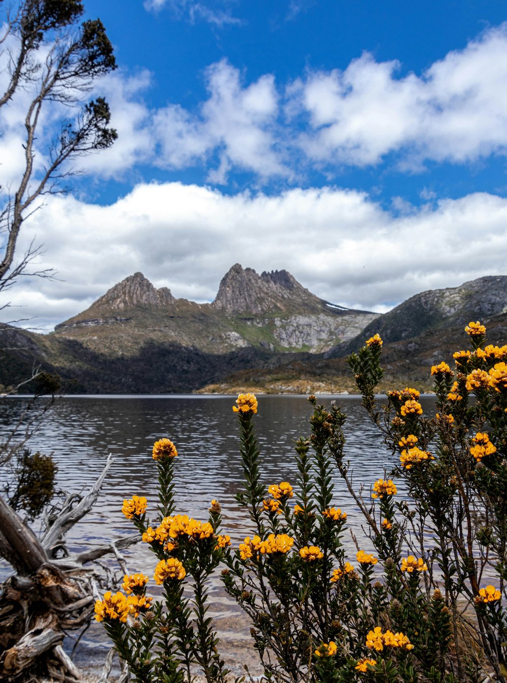 tasmania road trip cradle mountain