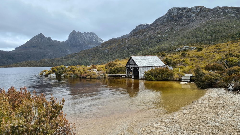 tasmania road trip dove lake walk