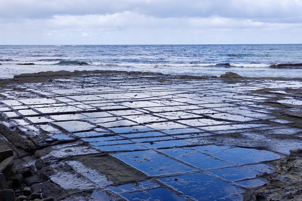 tasmania road trip tesellated pavement