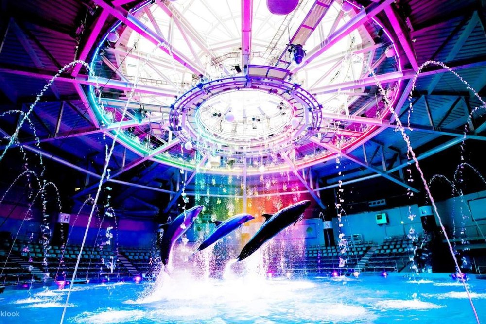  Bảo Tàng Thuỷ Cung Nghệ Thuật GINZA Tokyo