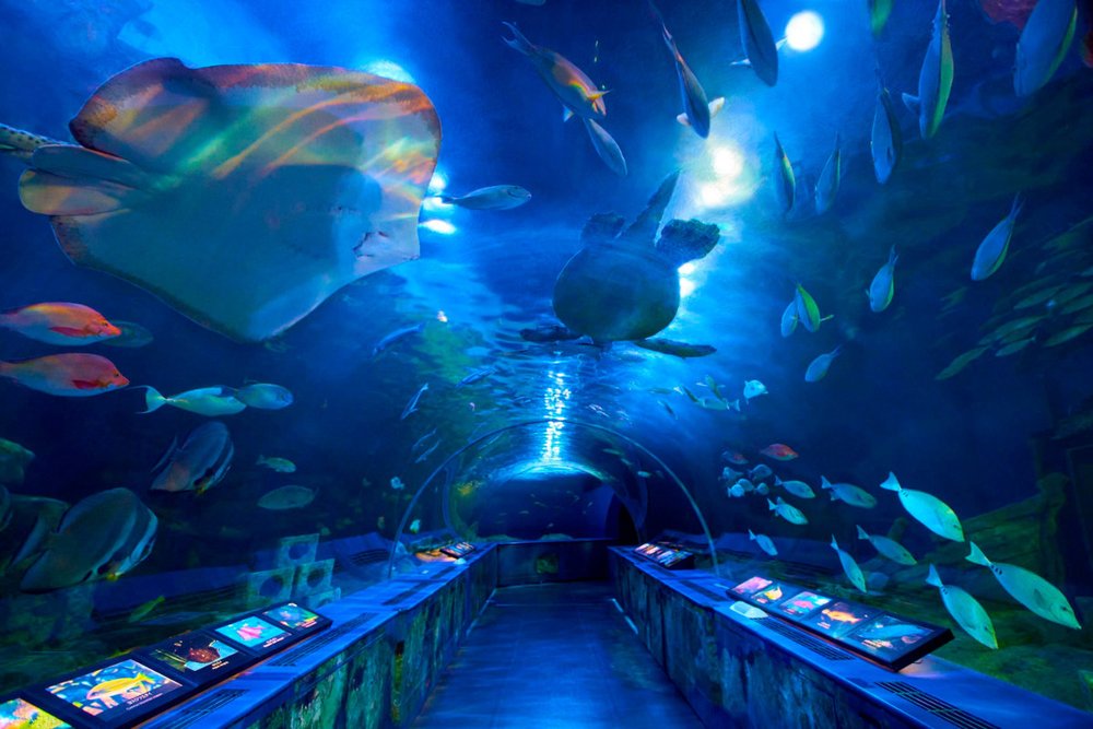 Sumida Aquarium Tokyo