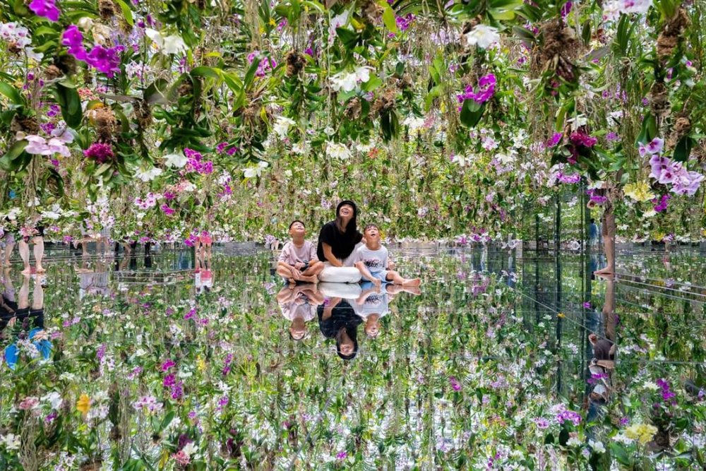 TeamLab Planets TOKYO DMM 