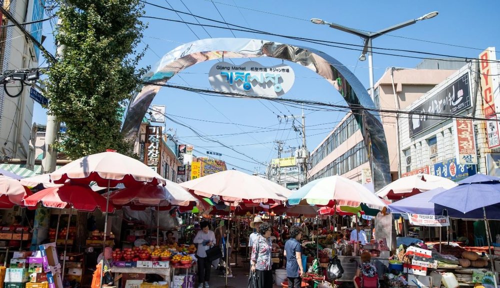 釜山樂天世界周邊景點｜機張市場