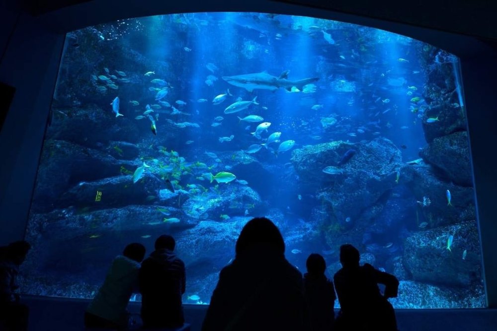 Thủy Cung Sumida Aquarium Tokyo