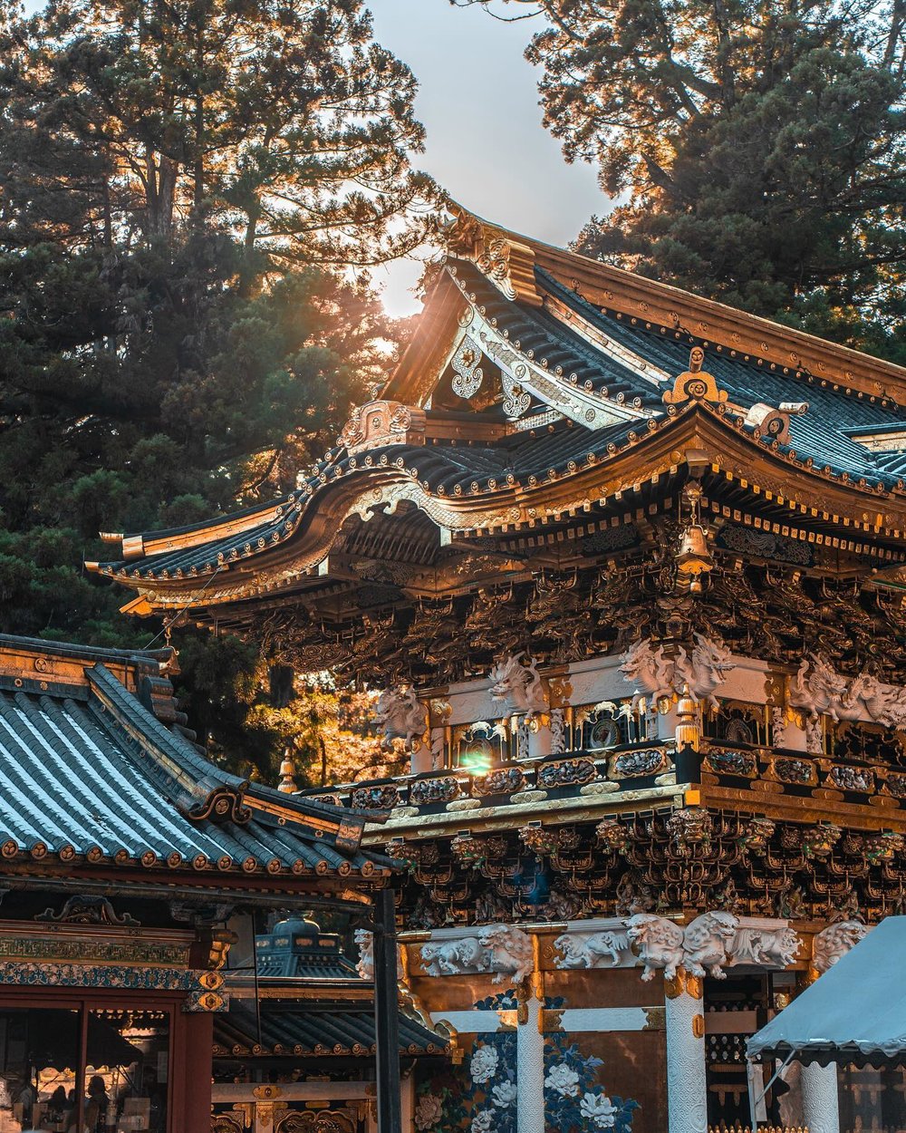 【東京JR Pass】JR東京廣域周遊券全攻略｜票價、購票方式、預約指定席