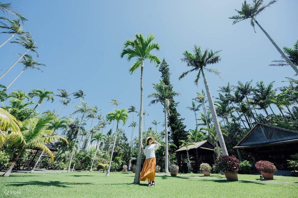 Vườn Southeast Botanical Gardens - Okinawa