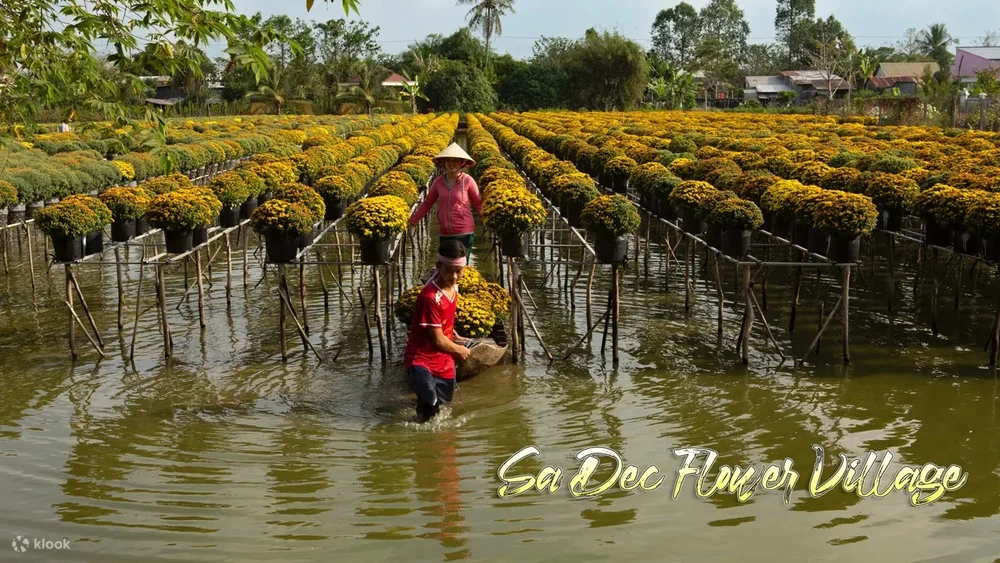 đi đâu chơi gần sài gòn