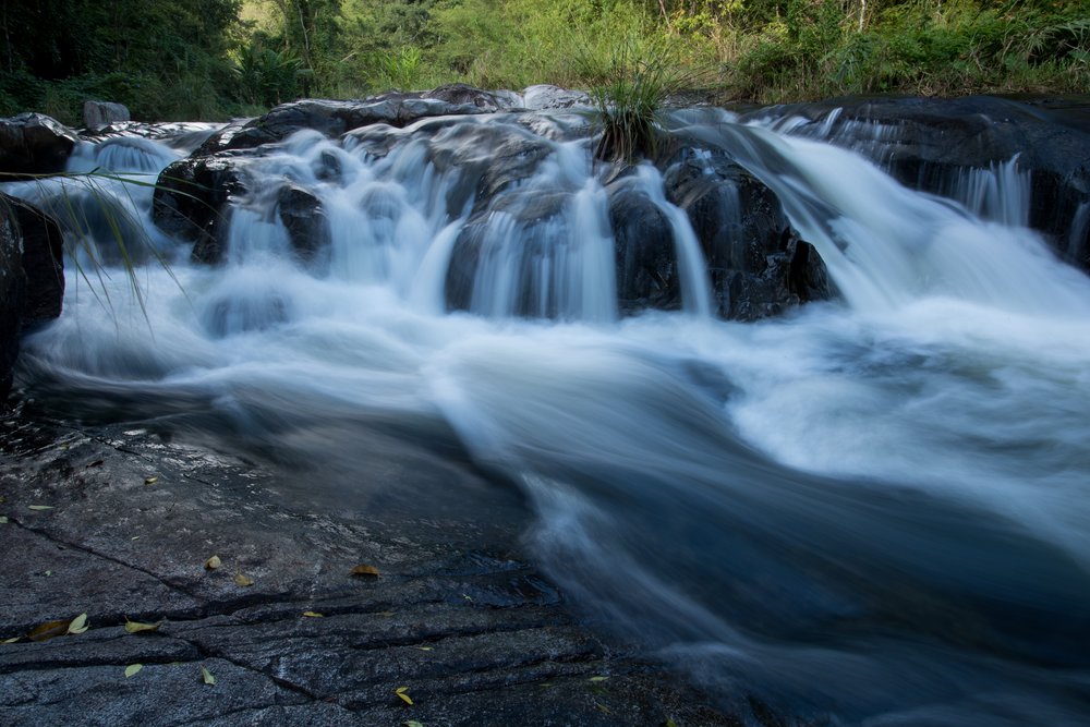 เครดิตภาพ: อุทยานแห่งชาติแม่วงก์ บนเว็บไซต์ ททท
