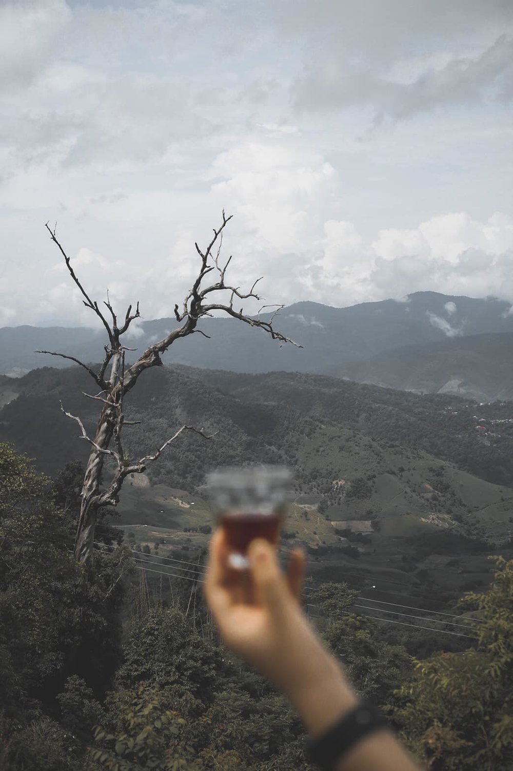 เครดิตภาพ: ABONZO Coffee บน Facebook