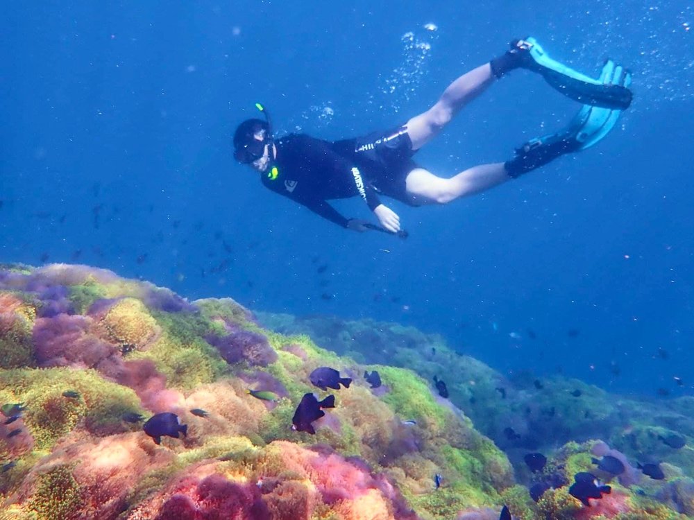 เครดิตภาพ: เกาะร้านเป็ด ร้านไก่ บน Facebook