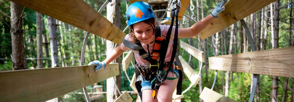 Tasmania treetops adventure hollybank