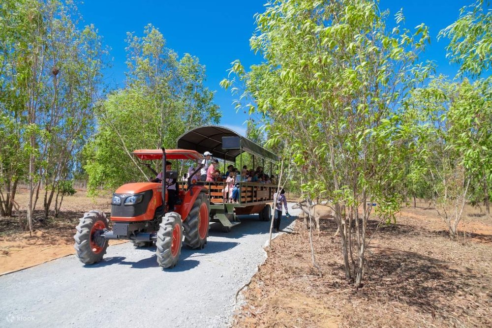 Safari Cafe & Zoo - “Chill Liu Riu" Ở Mũi Né