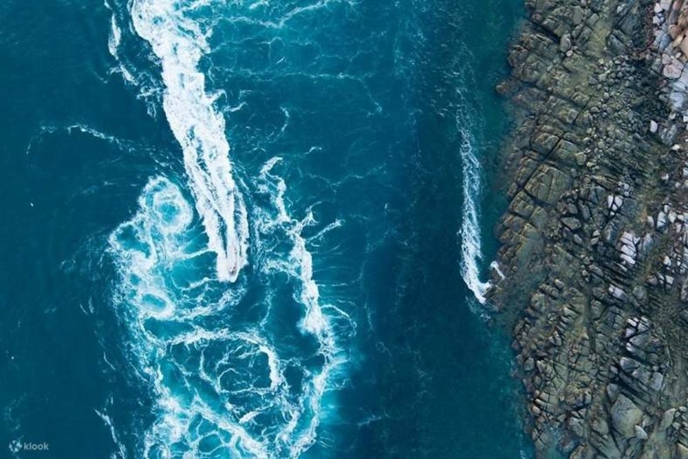 Things to do in Western Australia - Giant Tides Sea Safari Tour in Cygnet Bay