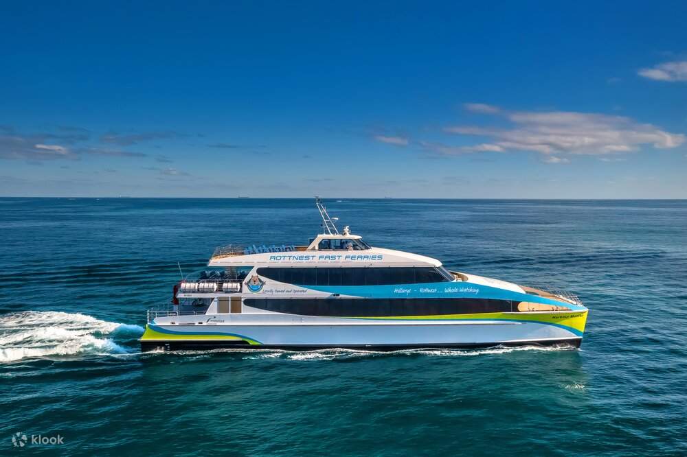 Things to do in Western Australia - Whale Watching Tour Boat from Perth and Margaret River