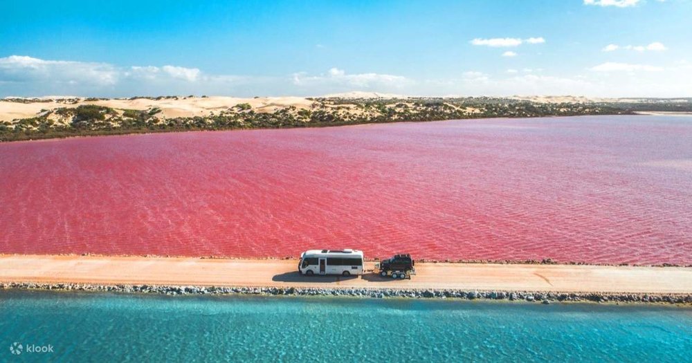 Things to do in Western Australia - Pink Lake Hutt Lagoon