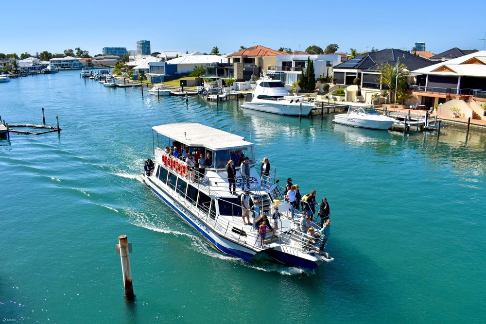 Things to in Western Australia - Mandurah Dolphin Scenic Cruise