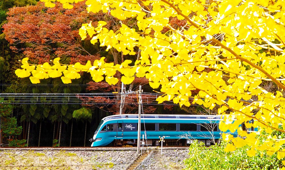 Tokyo to Izu: Exploring Izu Peninsula Aboard the Luxurious Saphir ...