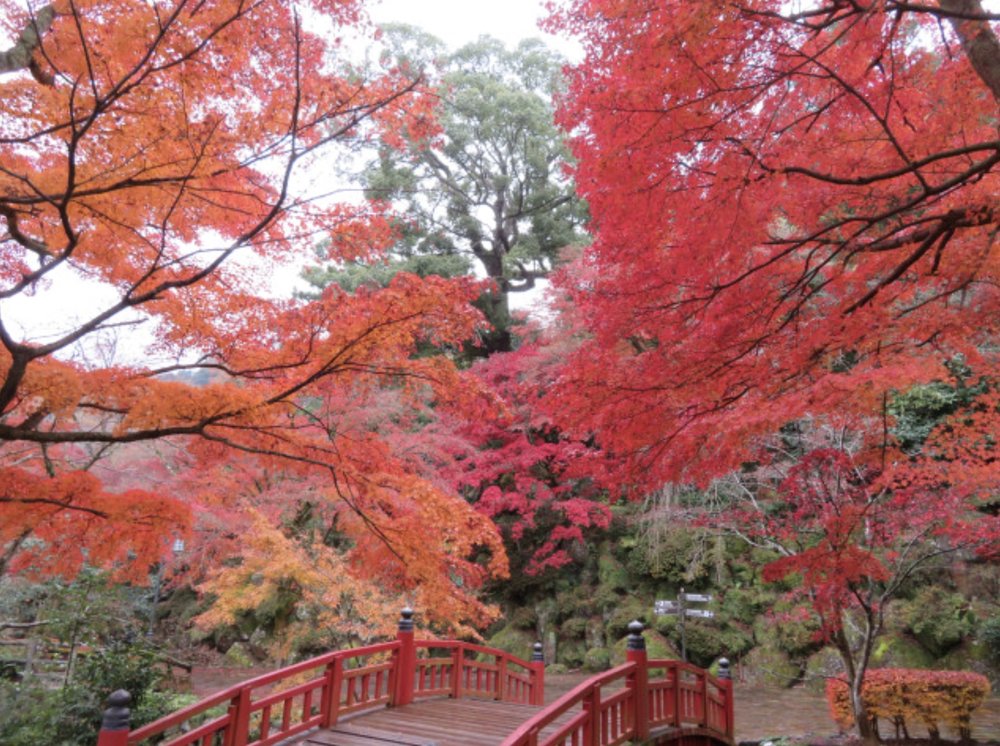 熱海景點, 熱海梅園