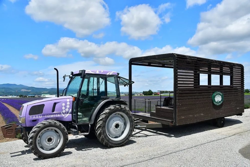 新富良野王子大飯店周邊景點｜富田農場