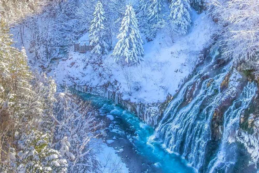 新富良野王子大飯店周邊景點|白鬚瀑布
