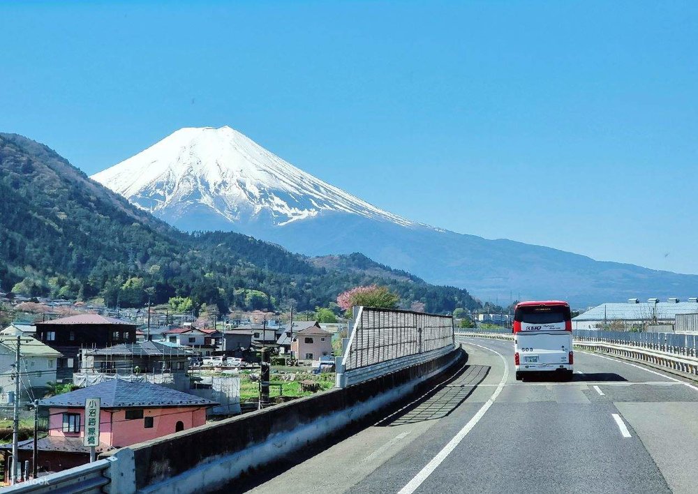 東京去富士山五合目交通｜新宿直達巴士