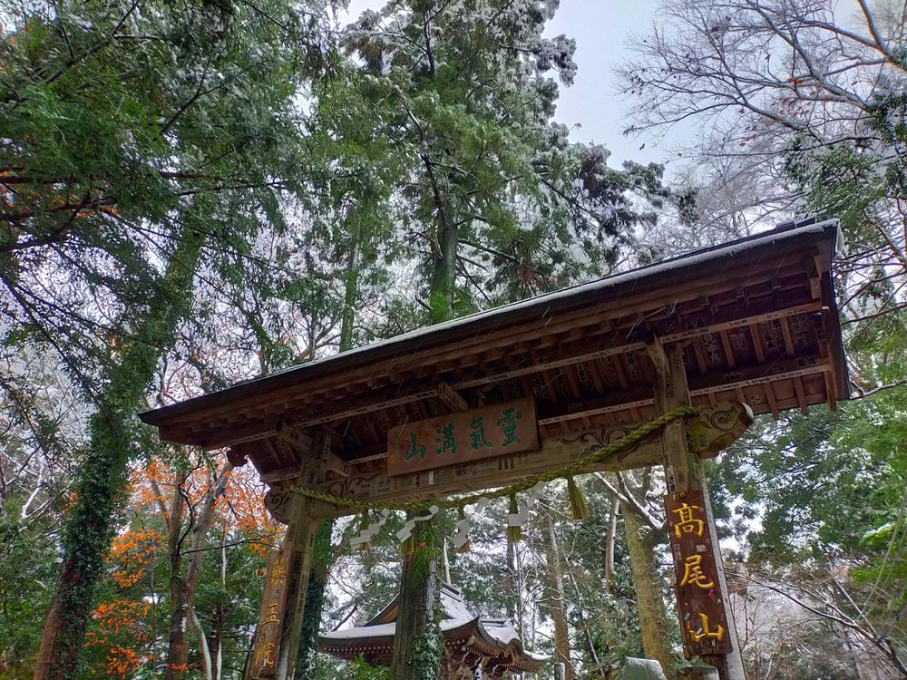 高尾山景點, 高尾山藥王院, 淨心門