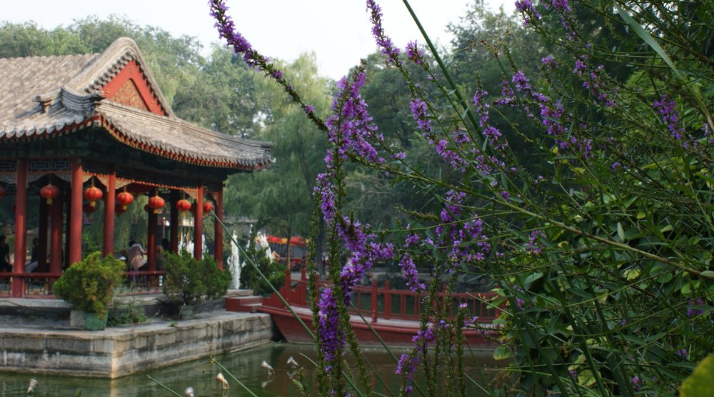 MY EN beijing prince kung mansion