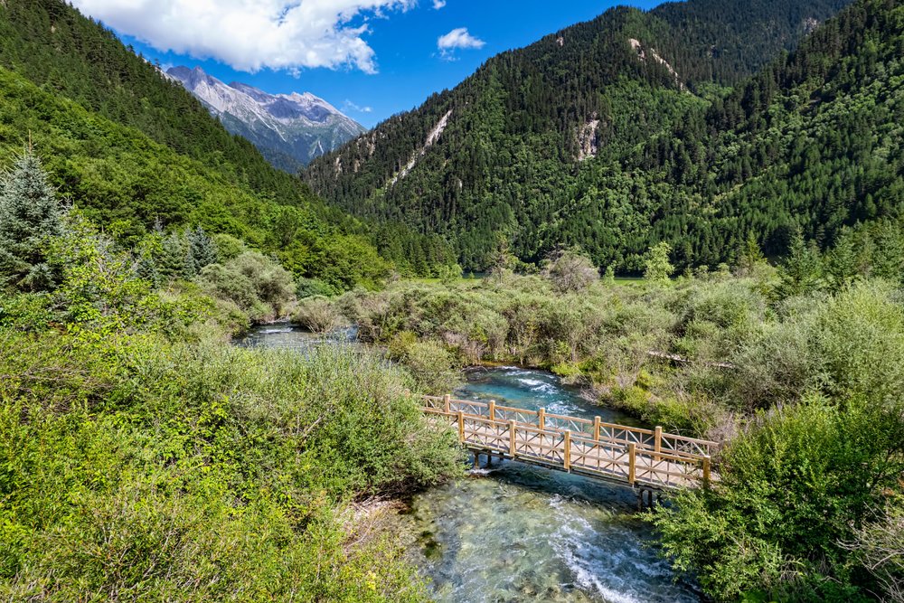 Song Kiều Câu - Tứ Xuyên