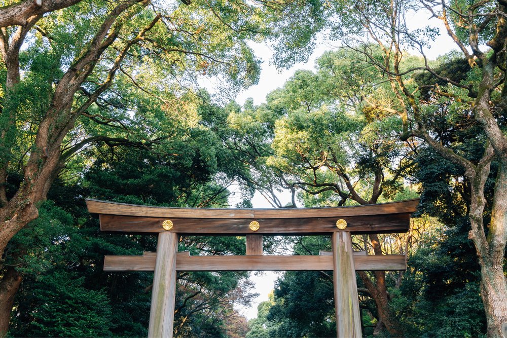 Đền Meiji Jingu - Tokyo