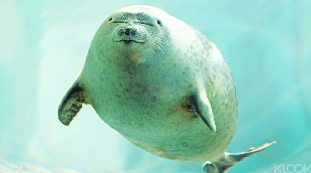 大阪 大阪親子遊 大阪親子 大阪自由行 大阪親子自由行