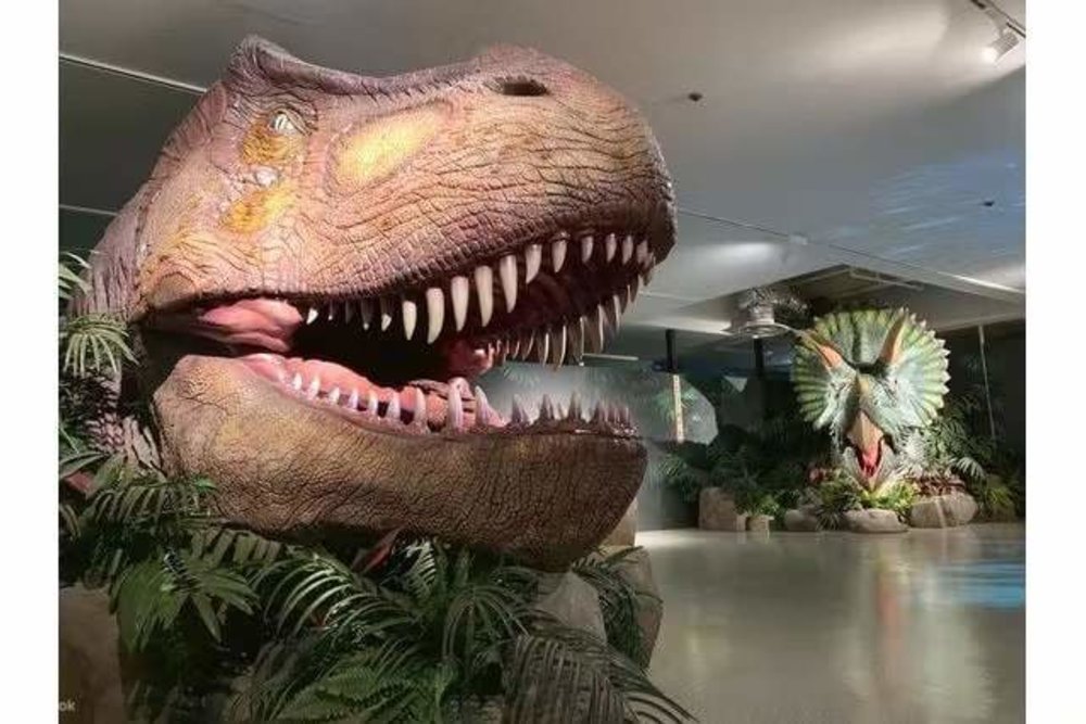 大阪 大阪親子遊 大阪親子 大阪自由行 大阪親子自由行