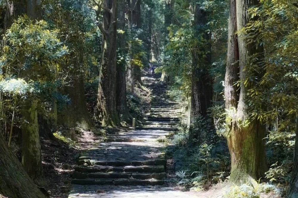 名古屋近郊景點 #4 熊野古道