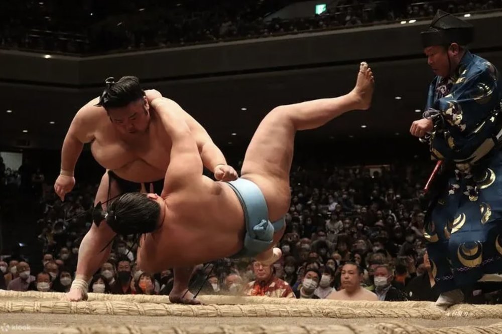 名古屋特別體驗｜相撲比賽