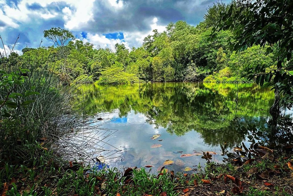 Công Viên Hampstead Wetland Park - Seletar Aerospace