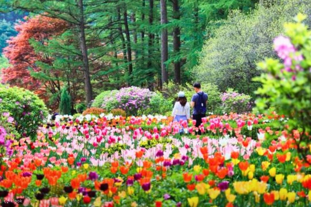  Garden of Morning Calm Mùa Hè