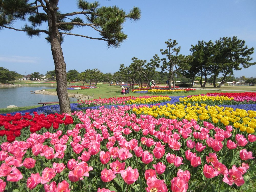 福岡親子遊 福岡 福岡景點 九州