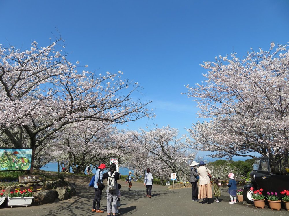 福岡親子遊 福岡 福岡景點 九州