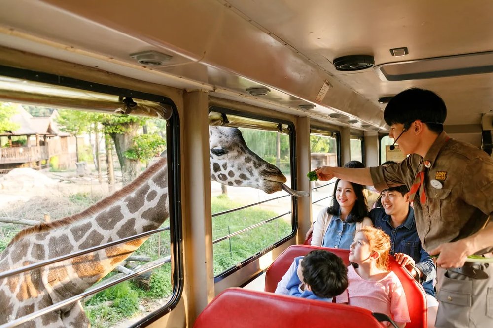 Tham Quan Công Viên Everland – 1 Trong 10 Công Viên Lớn Nhất Thế Giới
