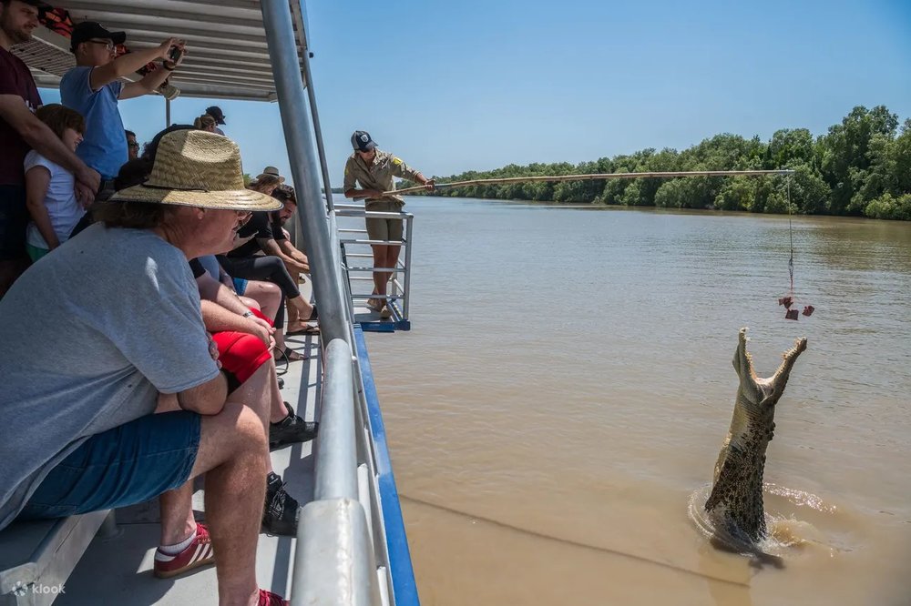 jumping crocs cruise adelaide