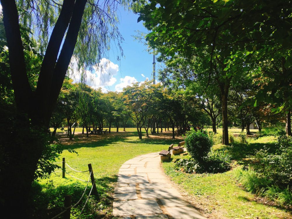 首爾 首爾地鐵圖 首爾地鐵 首爾自由行 首爾景點 首爾必到 首爾必去 明洞 弘大 聖水