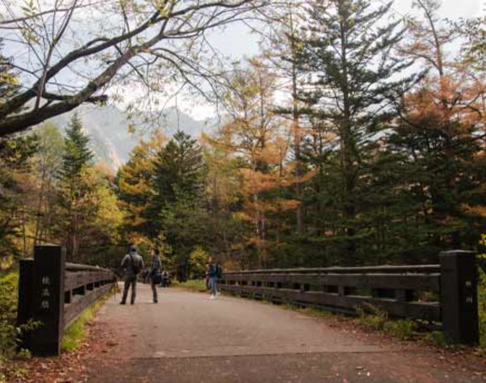 上高地一日遊, 上高地景點, 田代橋・穂高橋