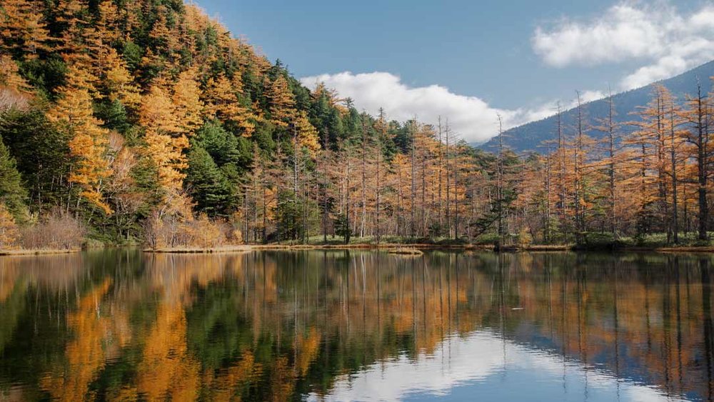 上高地一日遊, 上高地景點, 明神池