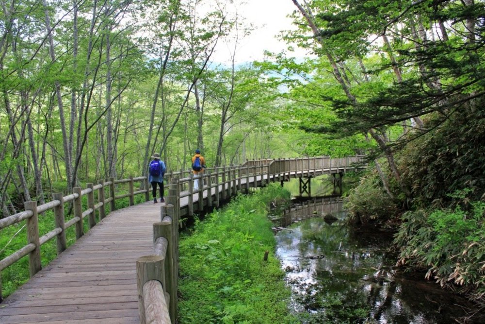 上高地一日遊, 上高地健行路線