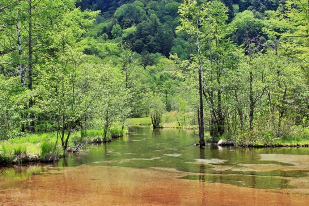 上高地, 田代濕源