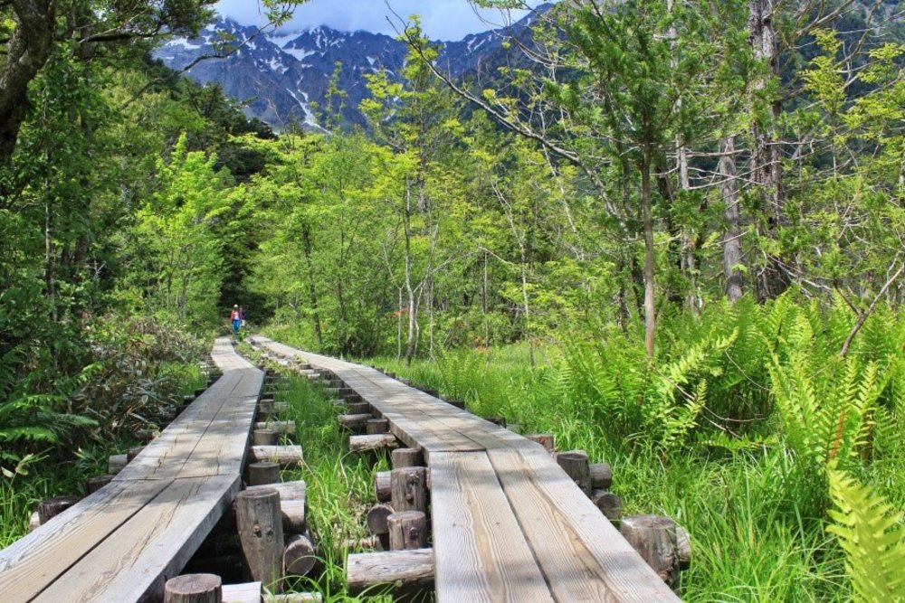 上高地, 梓川右岸路線