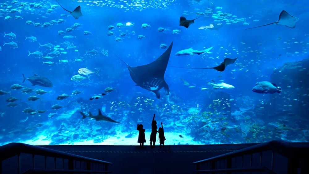 S.E.A. Aquarium
