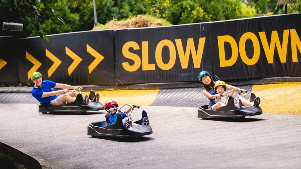 Skyline Luge