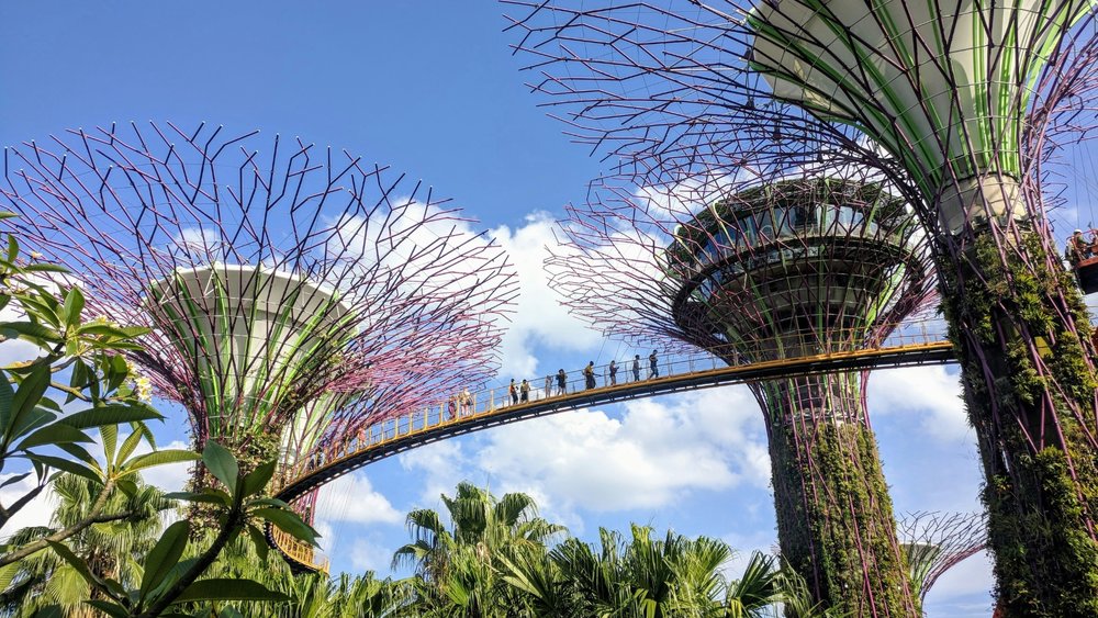 Gardens By The Bay